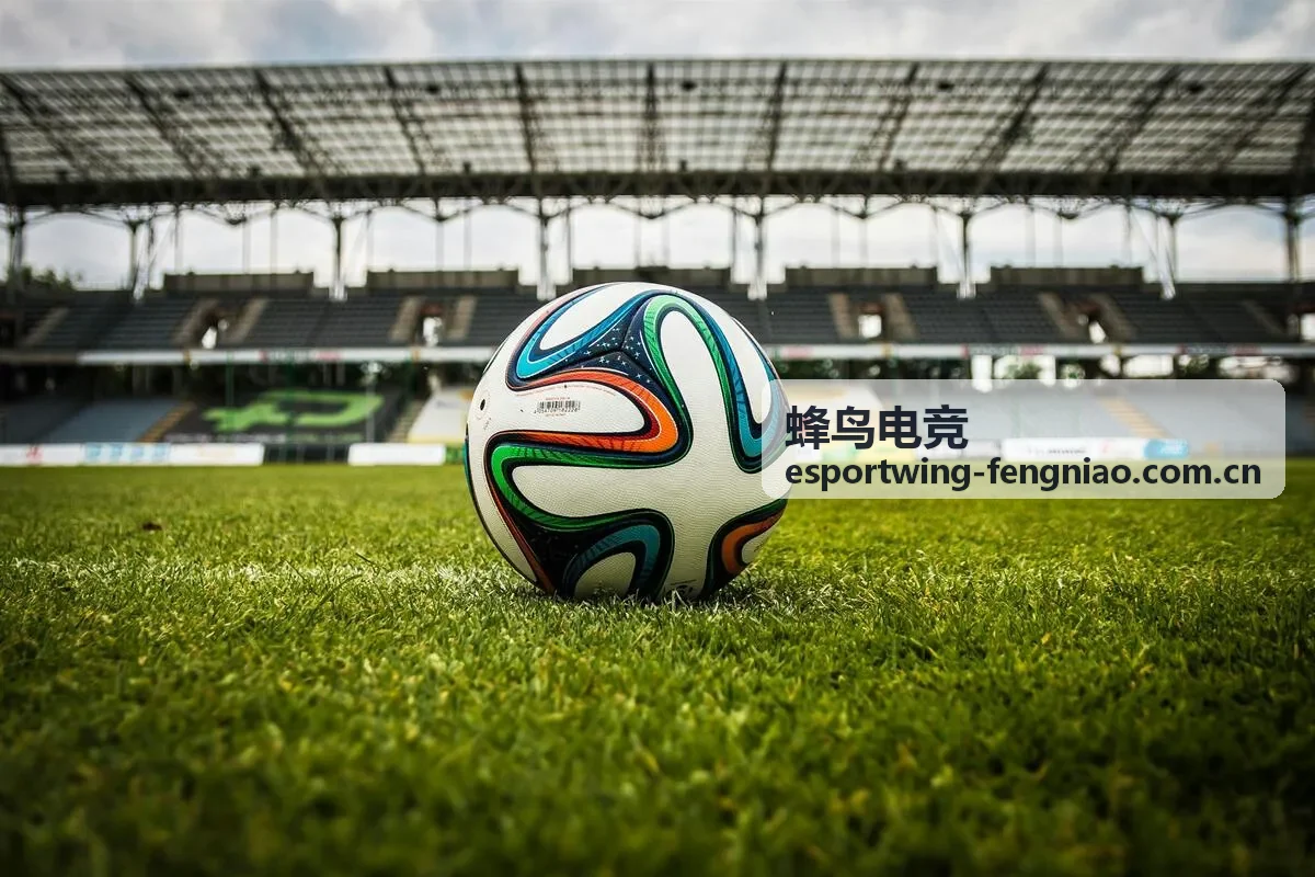 蜂鸟电竞选手配合与临场判断观察